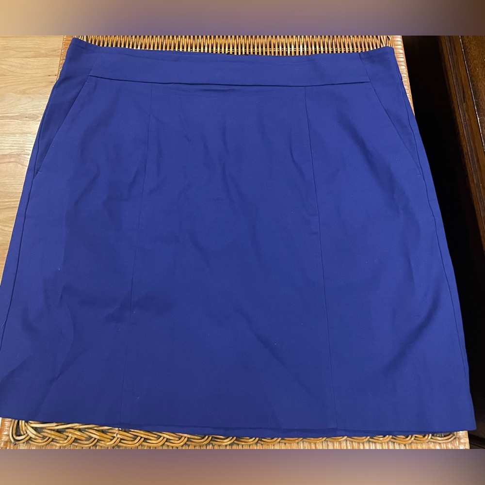 Ann Taylor Madison Women's Skirt